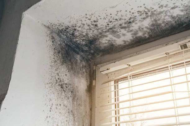 Affordable Hvac And Air Duct Mold Remediation solutions in Hanscom AFB, MA